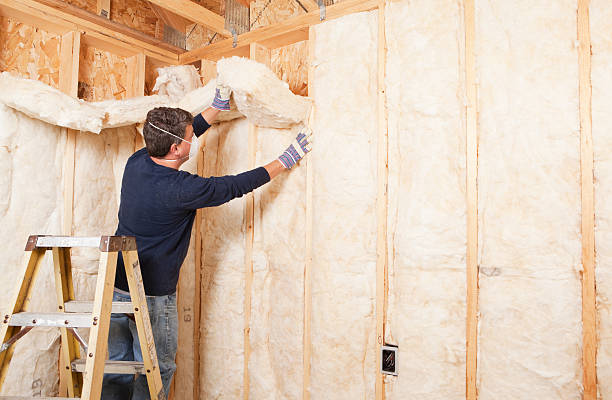 Best Spray Foam Insulation in USA